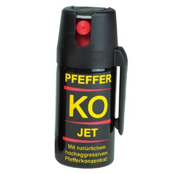 Jak se připravit na napadení medvědem? A jak mu předejít?